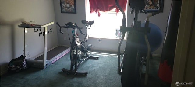 19425 Grant Rd NW, Soap Lake, WA 98851 - workout room with carpet flooring and baseboards