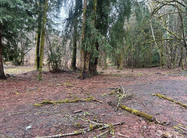 1110 State Route 3, Shelton, WA 98584