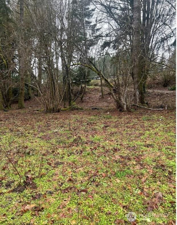 1110 State Route 3, Shelton, WA 98584