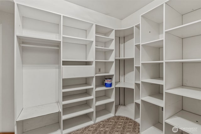 58 Pacific Pl, Longview, WA 98632 - view of walk in closet