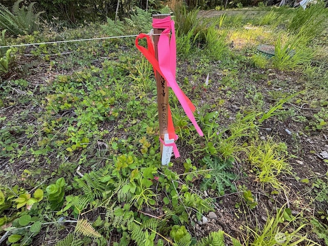 0 E Panorama Unit Lot15, Shelton, WA 98584