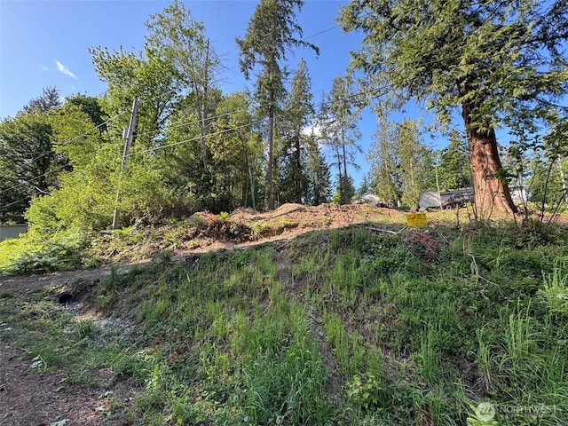 0 E Panorama Unit Lot15, Shelton, WA 98584