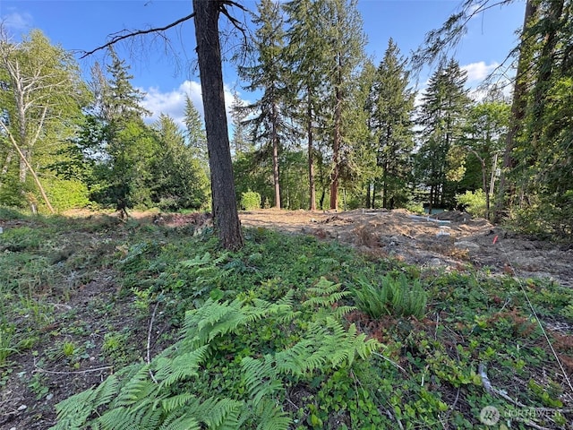 0 E Panorama Unit Lot15, Shelton, WA 98584