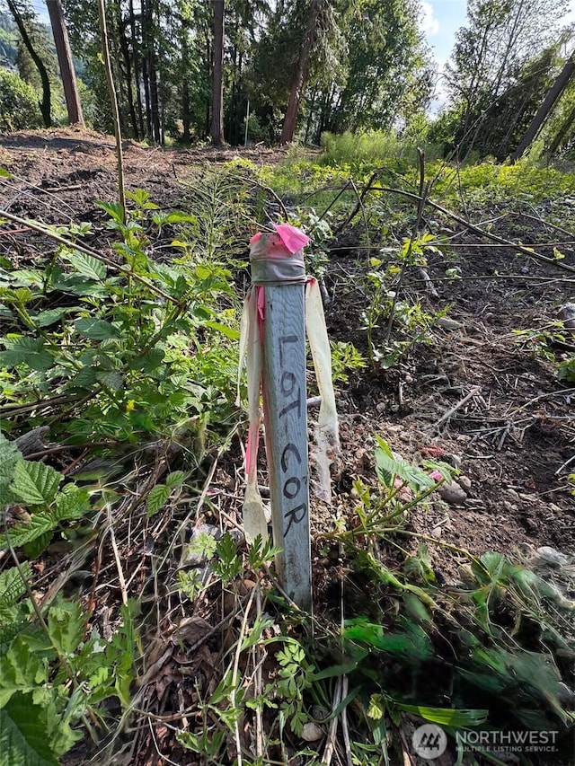 0 E Panorama Lot 14, Shelton, WA 98584