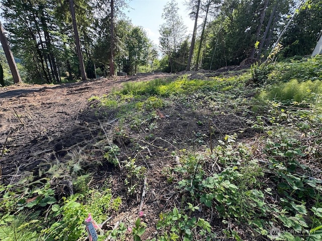0 E Panorama Lot 14, Shelton, WA 98584