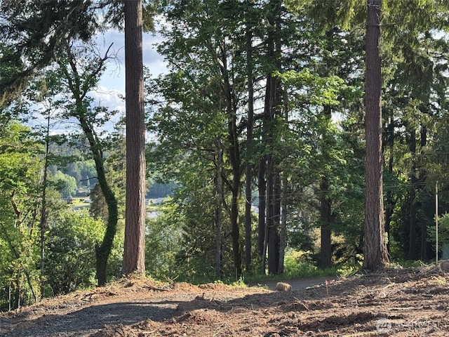 0 E Panorama Lot 14, Shelton, WA 98584