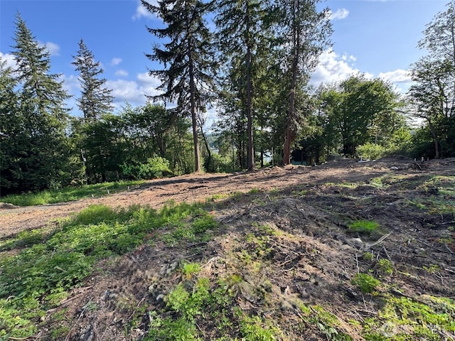 0 E Panorama Lot 14, Shelton, WA 98584