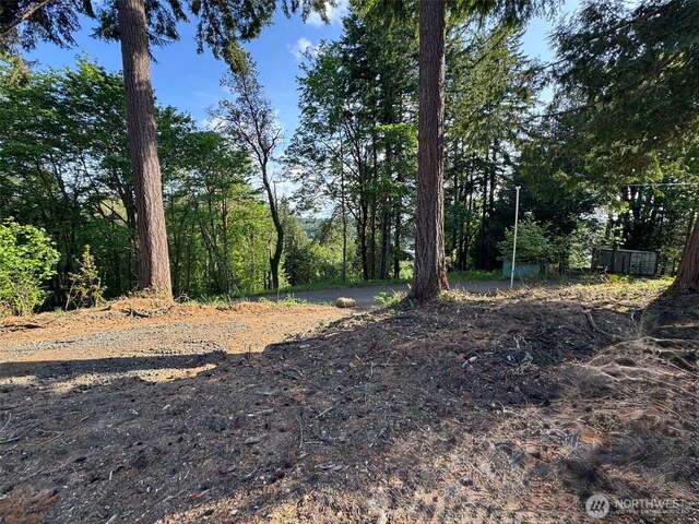 0 E Panorama Lot 14, Shelton, WA 98584