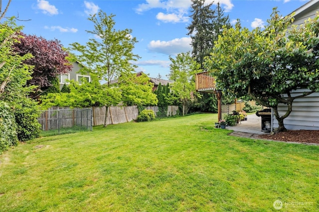 view of yard with a patio area
