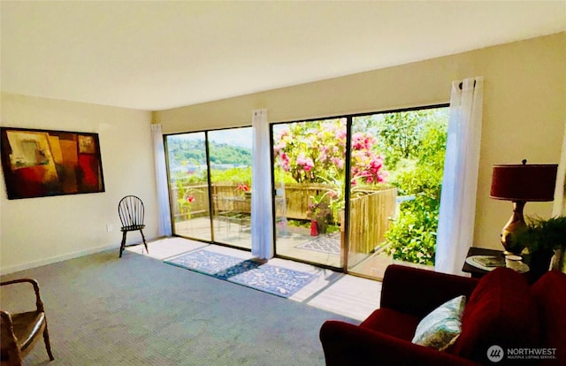 2550 Thorndyke Ave W Unit 205, Seattle, WA 98199 - photo 4