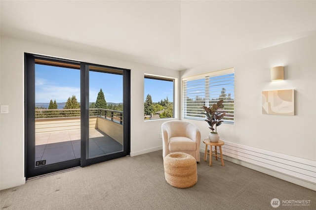 9120 NE 25th Pl, Clyde Hill, WA 98004 - living area featuring carpet and baseboards