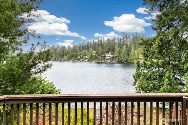 30 NE Lake Dr, Tahuya, WA 98588 - photo 24