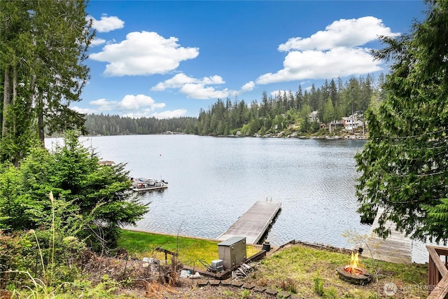 30 NE Lake Dr, Tahuya, WA 98588 - photo 25