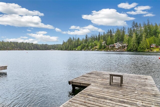 30 NE Lake Dr, Tahuya, WA 98588 - photo 28