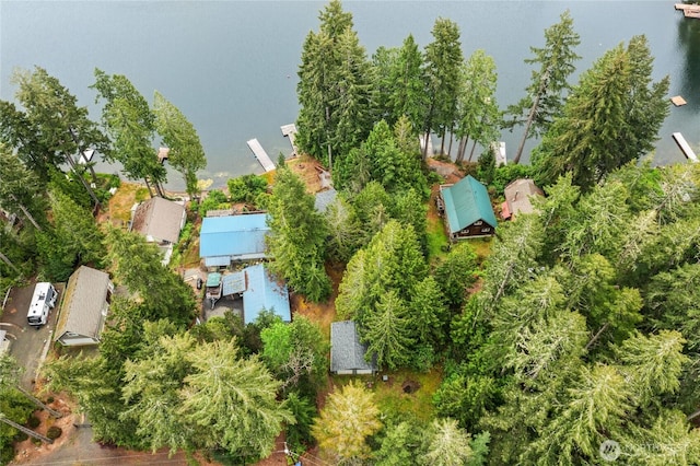 30 NE Lake Dr, Tahuya, WA 98588 - photo 32