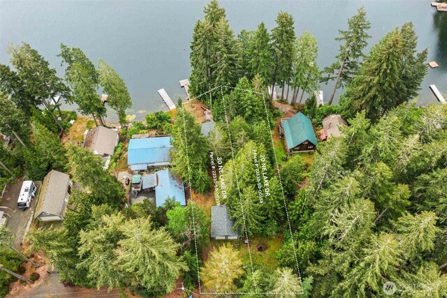 30 NE Lake Dr, Tahuya, WA 98588 - photo 33