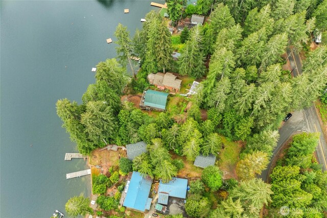 30 NE Lake Dr, Tahuya, WA 98588 - photo 34