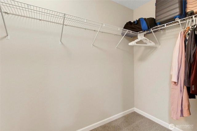 1003 Petersen Dr E, Enumclaw, WA 98022 - spacious closet with light carpet