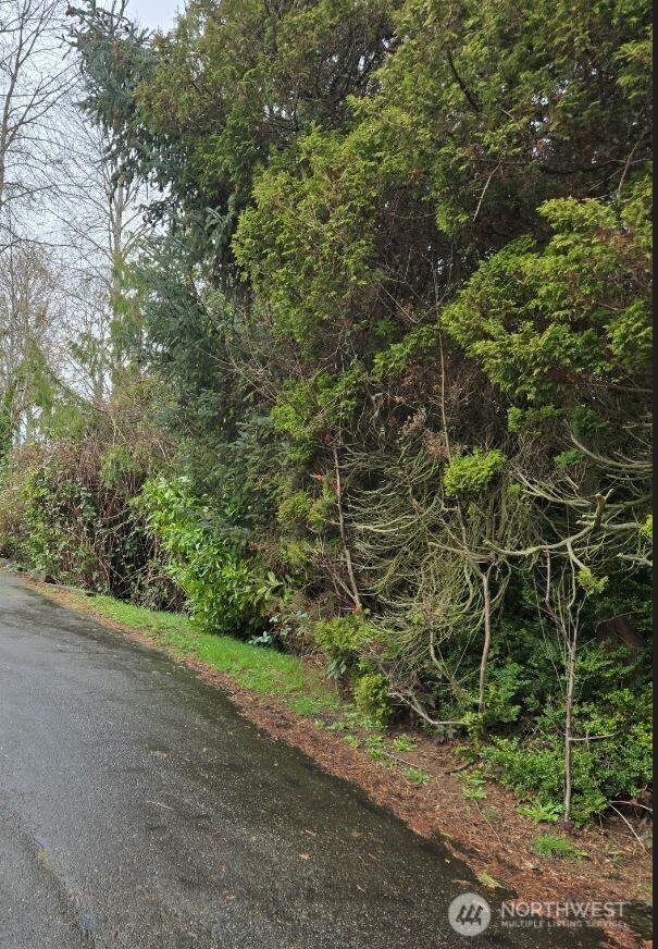 13041 33rd Ave S, Tukwila, WA 98168 - photo 2