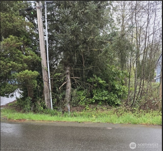 13041 33rd Ave S, Tukwila, WA 98168 - photo 4