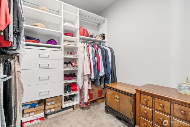 2553 Vardon Cir SW, Port Orchard, WA 98367 - walk in closet with light carpet