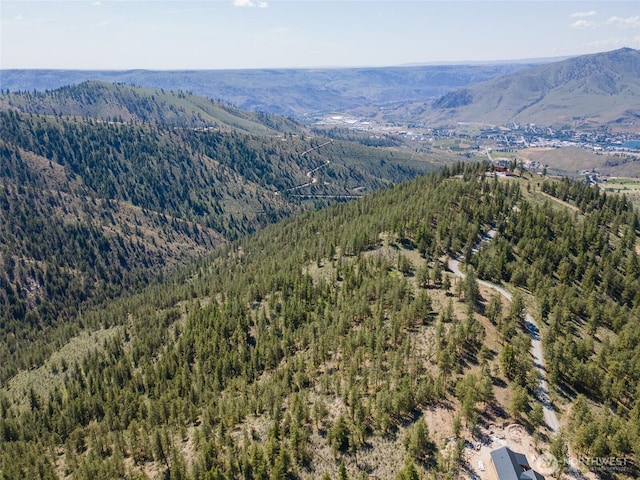 1831 Cottontail Ln, Chelan, WA 98816 - bird's eye view of mountains and a heavily wooded area