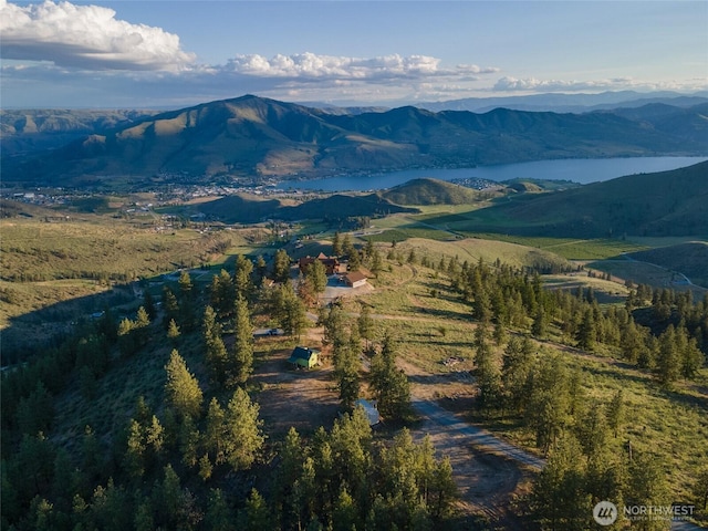 1831 Cottontail Ln, Chelan, WA 98816 - mountain view