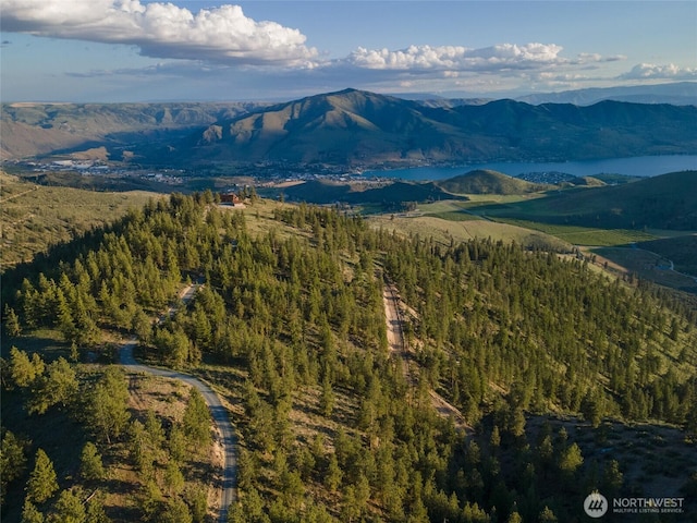 1831 Cottontail Ln, Chelan, WA 98816 - mountain view with a heavily wooded area