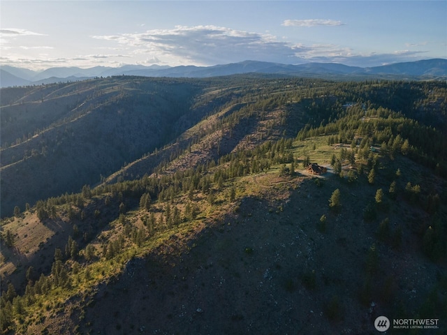 1831 Cottontail Ln, Chelan, WA 98816 - view of mountain background with a forest
