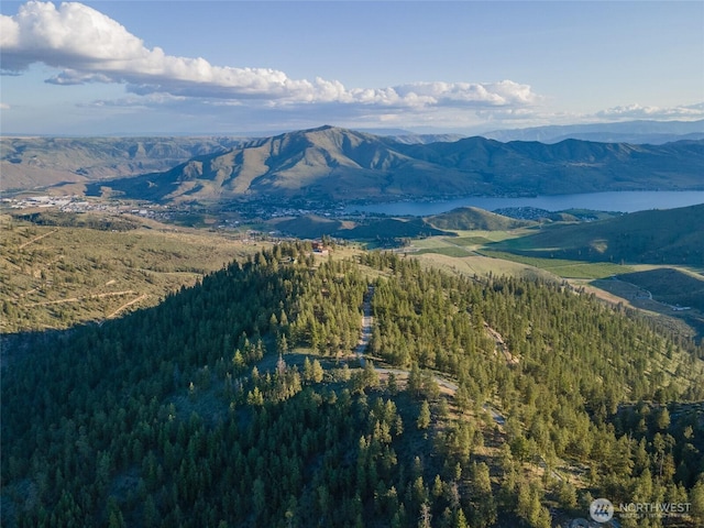 1831 Cottontail Ln, Chelan, WA 98816 - view of mountain background featuring a heavily wooded area