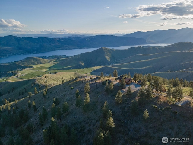 1831 Cottontail Ln, Chelan, WA 98816 - view of mountain background featuring a nearby body of water