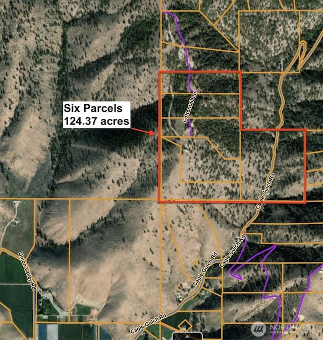 1831 Cottontail Ln, Chelan, WA 98816 - aerial map of property and surrounding area