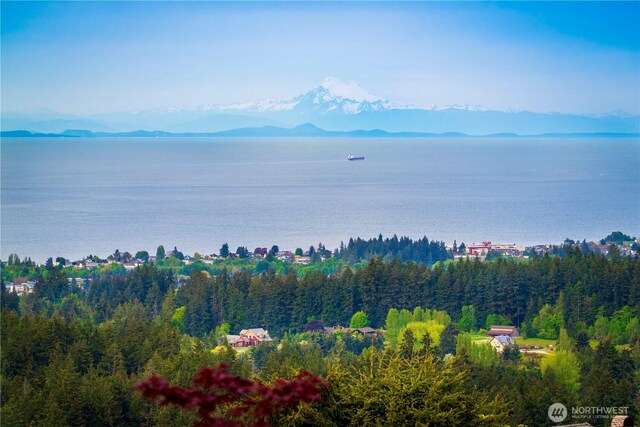 572 Sunset Heights Dr, Port Angeles, WA 98363 - photo 39