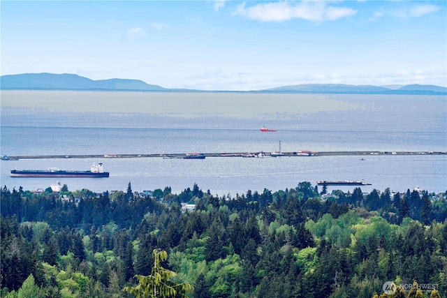 572 Sunset Heights Dr, Port Angeles, WA 98363 - photo 36