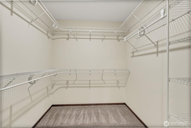 20116 58th Ave E, Spanaway, WA 98387 - spacious closet featuring carpet flooring