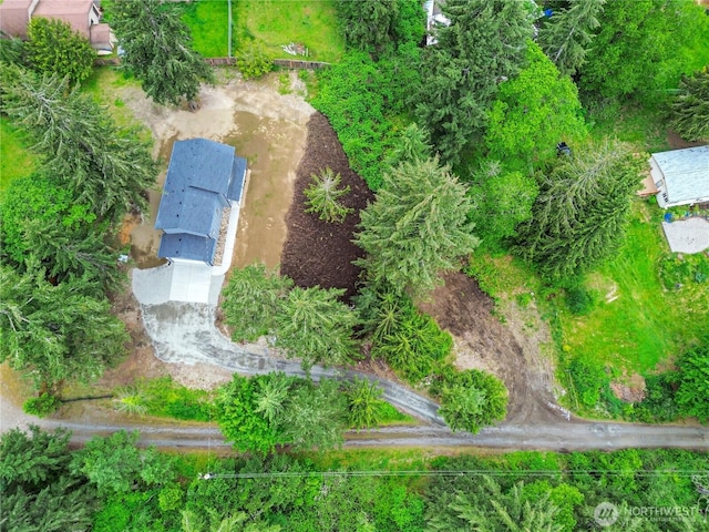 20116 58th Ave E, Spanaway, WA 98387 - bird's eye view