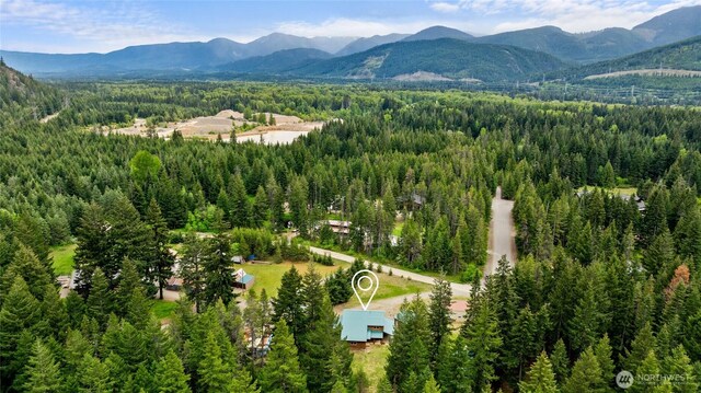 4193 Sparks Rd, Easton, WA 98925 - bird's eye view of a forest and a mountain backdrop