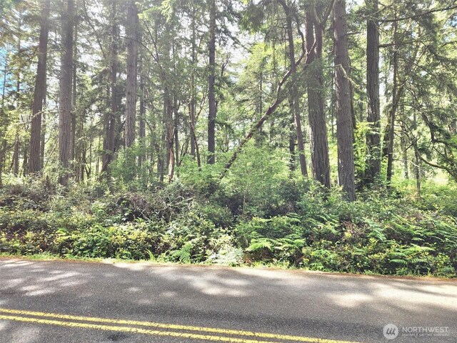 11600 32nd St NW, Gig Harbor, WA 98335 - photo 9