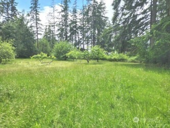 11600 32nd St NW, Gig Harbor, WA 98335 - photo 13