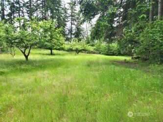 11600 32nd St NW, Gig Harbor, WA 98335 - photo 14