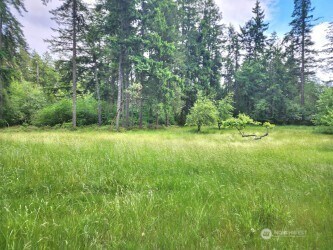 11600 32nd St NW, Gig Harbor, WA 98335 - photo 15