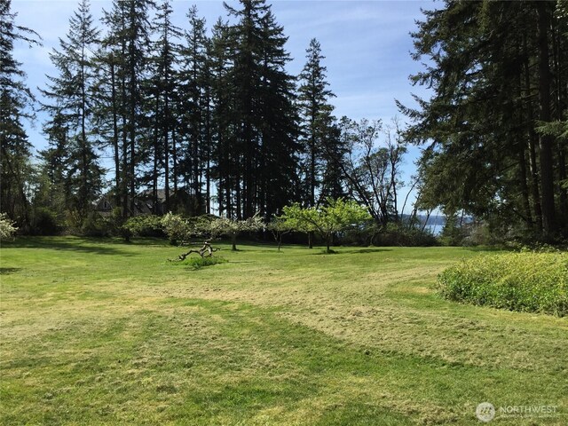 11600 32nd St NW, Gig Harbor, WA 98335 - photo 12