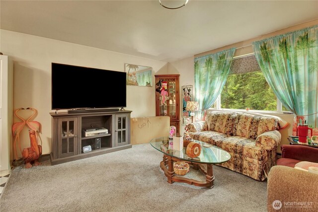 32030 83rd Dr NW, Stanwood, WA 98292 - view of carpeted living room