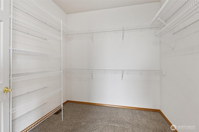 121 Scenic Dr NE, Moses Lake, WA 98837 - walk in closet featuring carpet floors