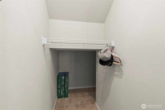 walk in closet featuring vaulted ceiling and carpet floors