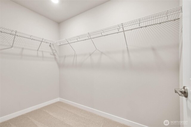 9825 38th Street Ct E Unit 38, Edgewood, WA 98371 - walk in closet with carpet flooring