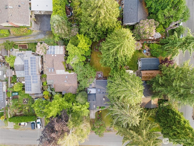2607 NE 137th St, Seattle, WA 98125 - aerial view of property and surrounding area