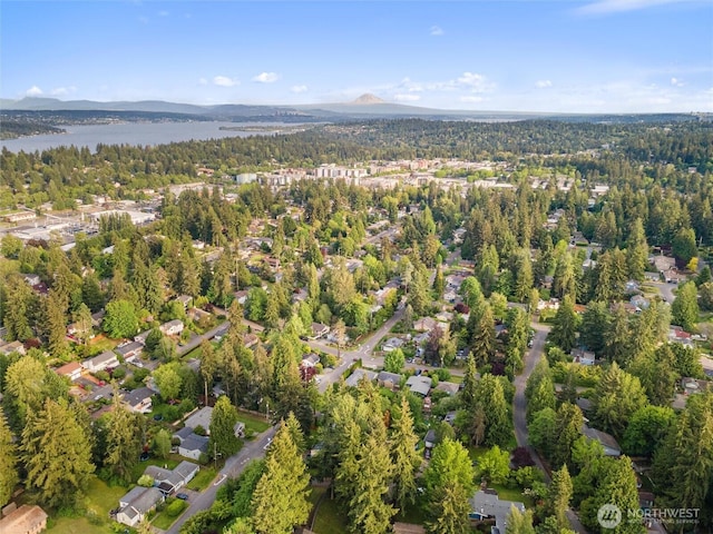2607 NE 137th St, Seattle, WA 98125 - aerial view of property and surrounding area featuring a forest and a water and mountain view
