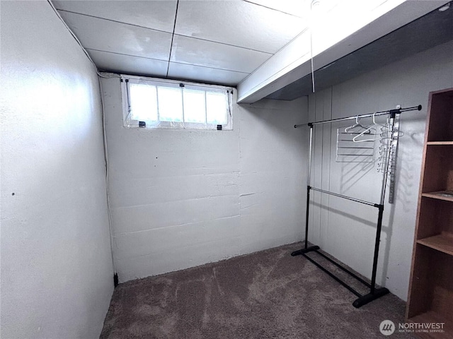 711 Guernsey St, Prosser, WA 99350 - below grade area featuring carpet flooring