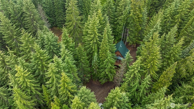 4771 Kachess Lake Rd, Easton, WA 98925 - detailed view